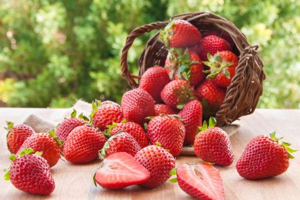 fraise française